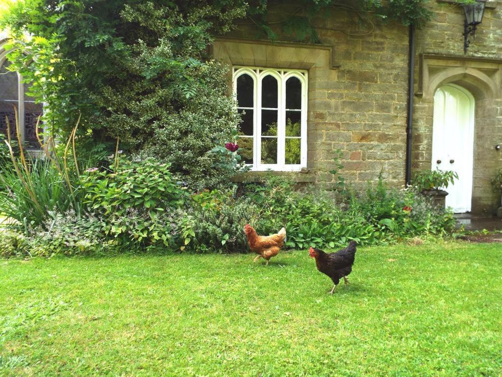 Old Vicarage B&B Coleford  Luaran gambar