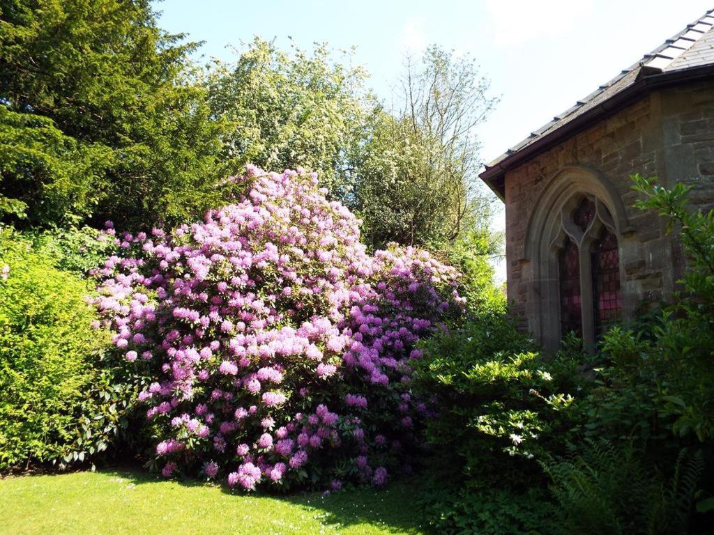 Old Vicarage B&B Coleford  Luaran gambar